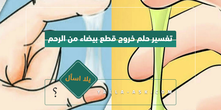 تفسير حلم خروج قطع بيضاء من الرحم