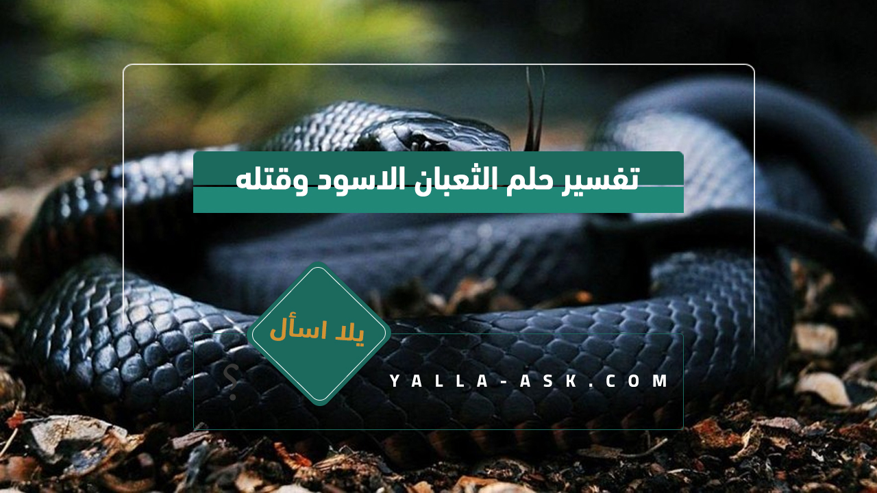 تفسير حلم الثعبان الاسود وقتله