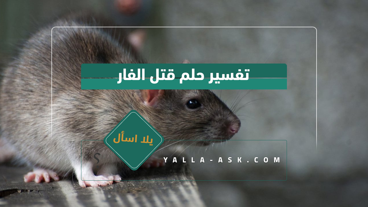 تفسير حلم قتل الفار