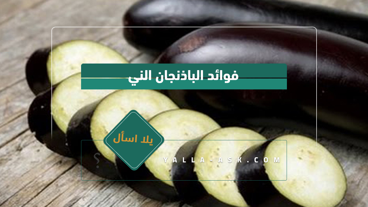 فوائد الباذنجان الني