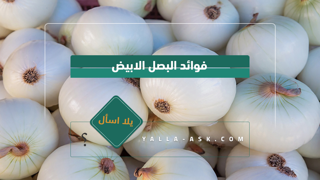 فوائد البصل الابيض
