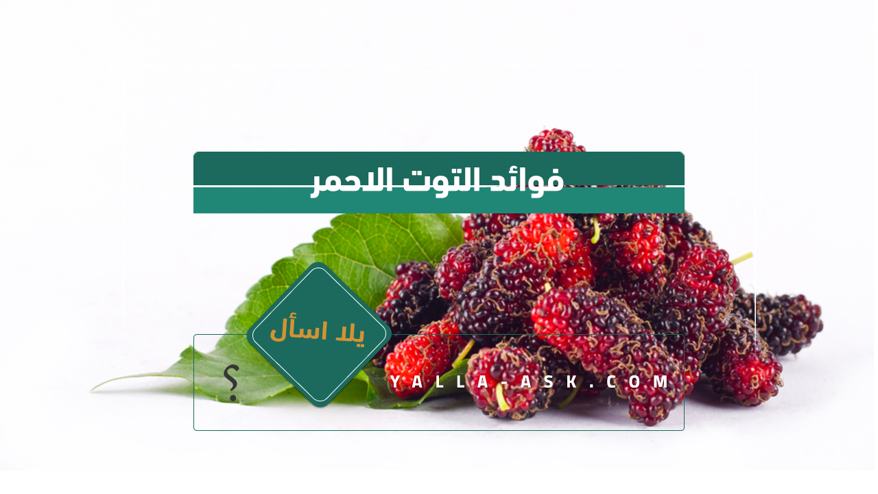 فوائد التوت الاحمر