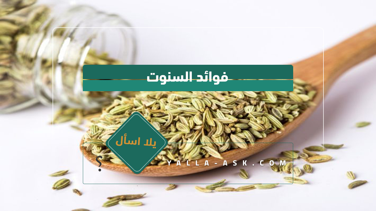 فوائد السنوت