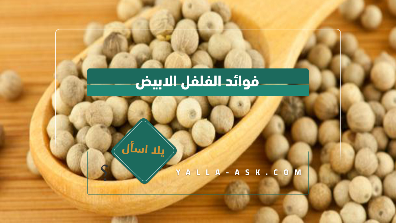 فوائد الفلفل الابيض