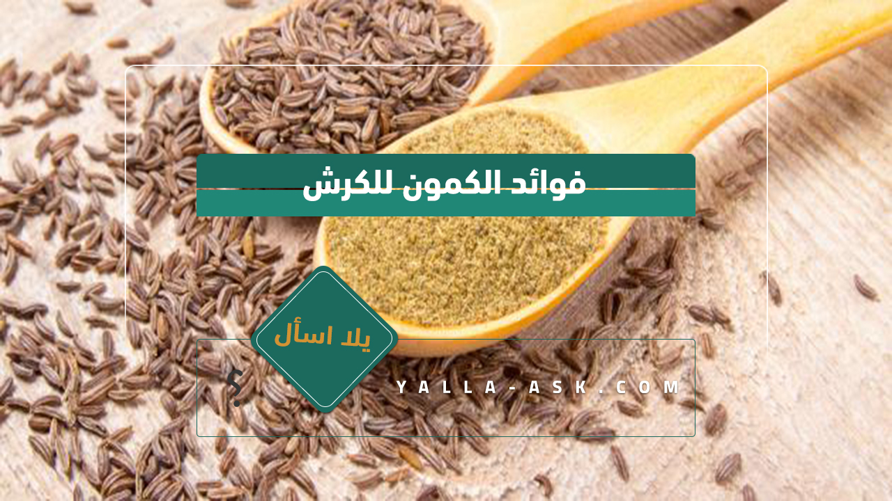 فوائد الكمون للكرش