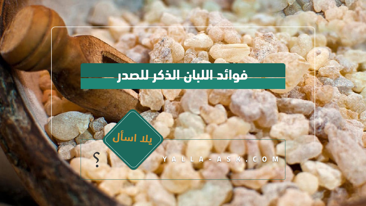 فوائد اللبان الذكر للصدر