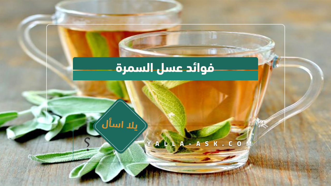 فوائد الميرمية للمبايض