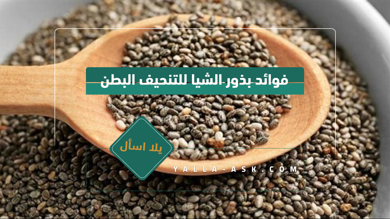 فوائد بذور الشيا للتنحيف البطن