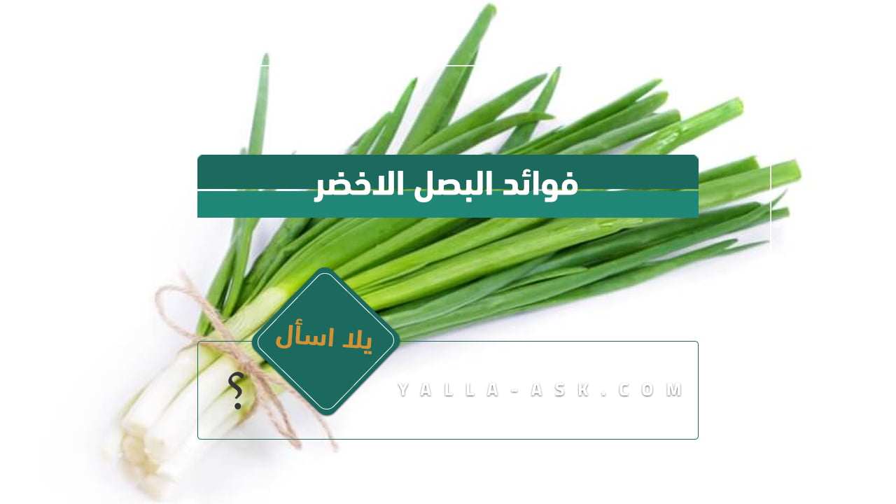 فوائد البصل الاخضر