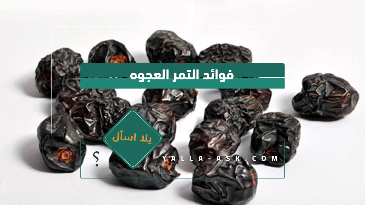 فوائد التمر العجوه