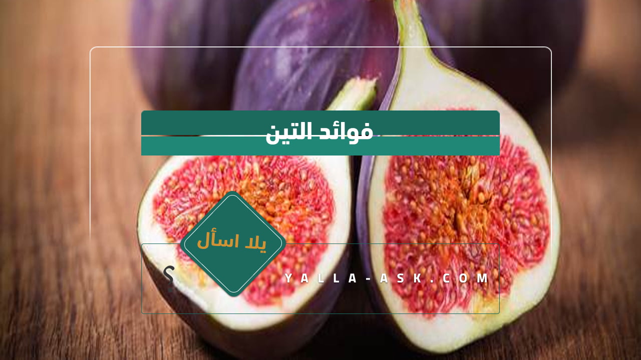 فوائد التين