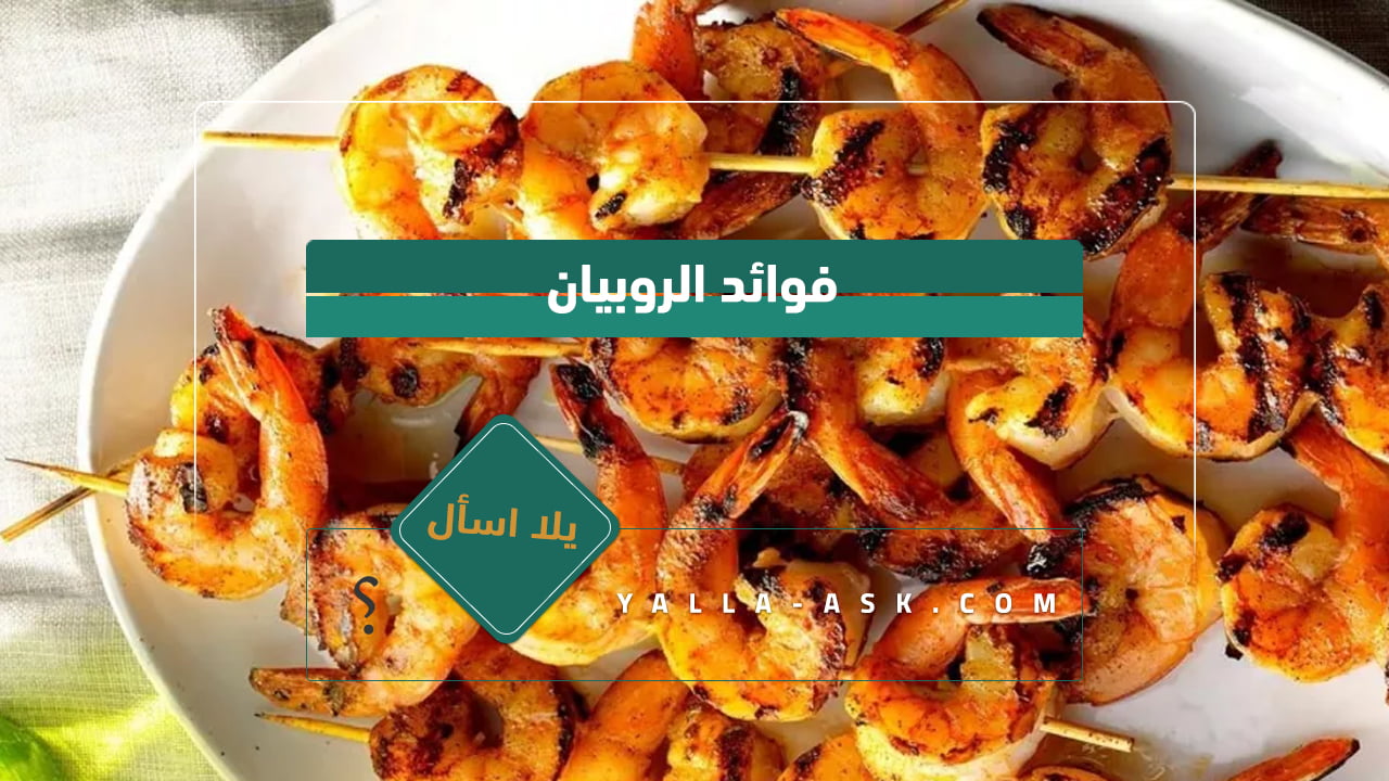 فوائد الروبيان