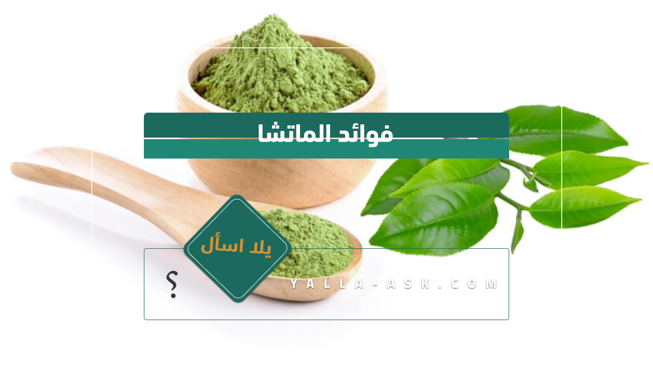 فوائد الماتشا