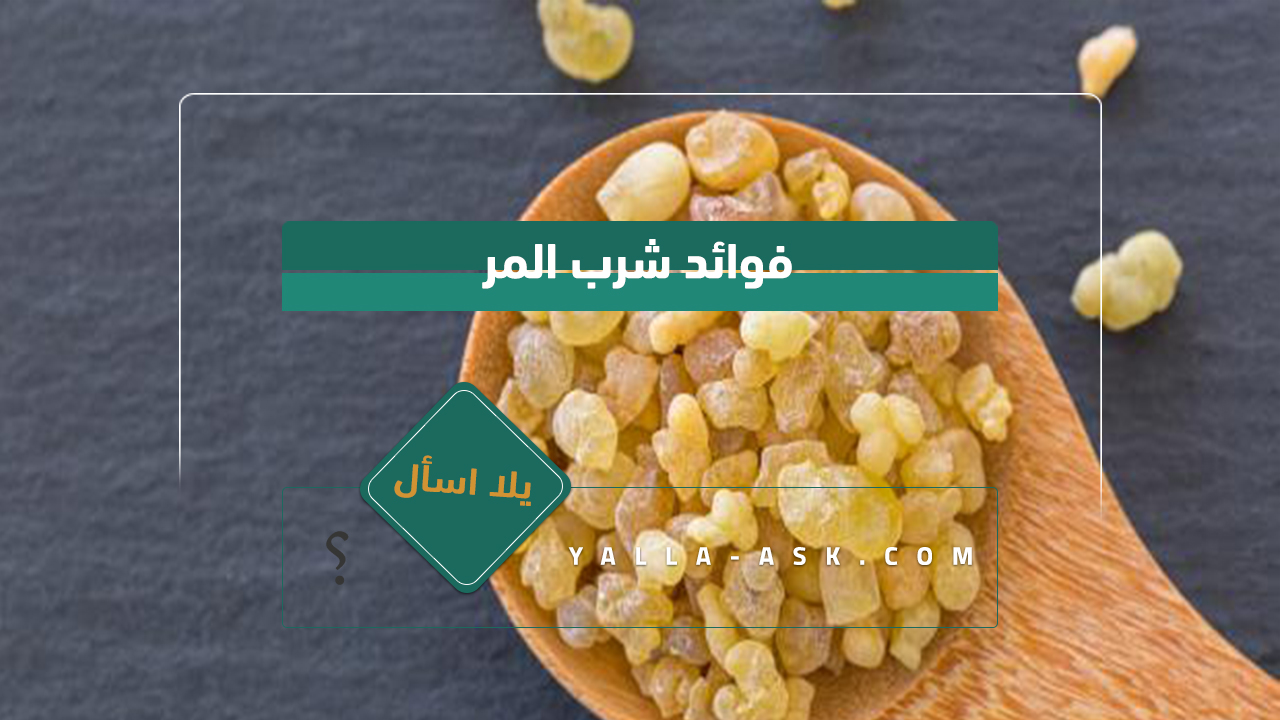 فوائد شرب المر