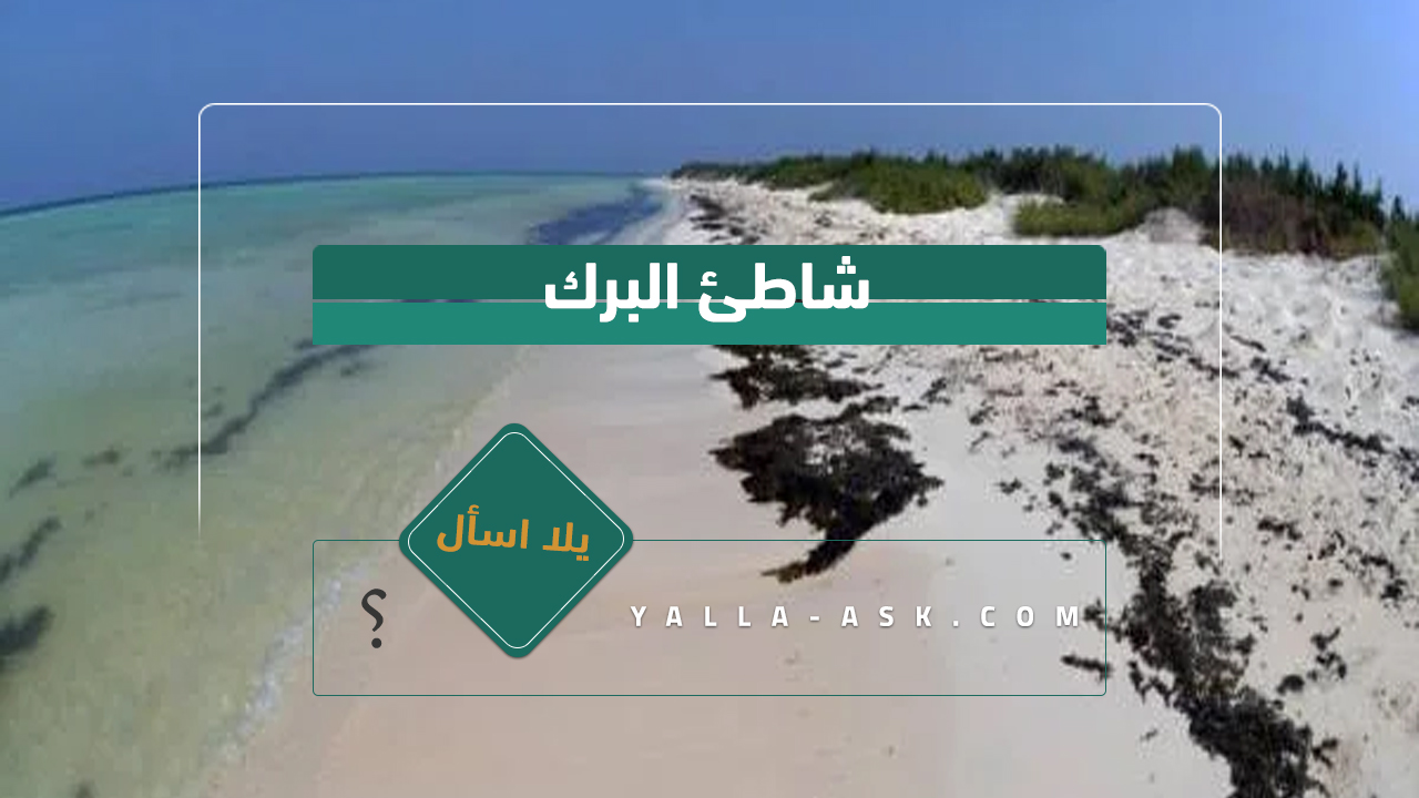 شاطئ البرك
