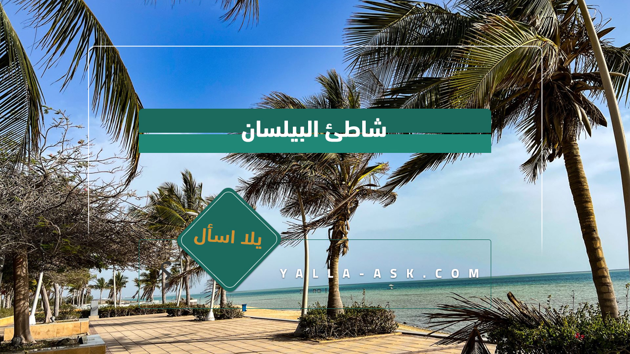 شاطئ البيلسان