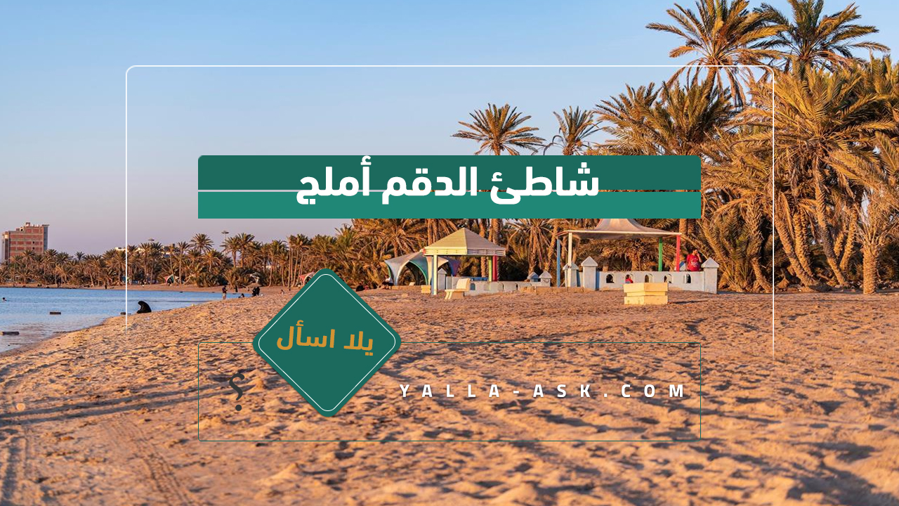 شاطئ الدقم أملج