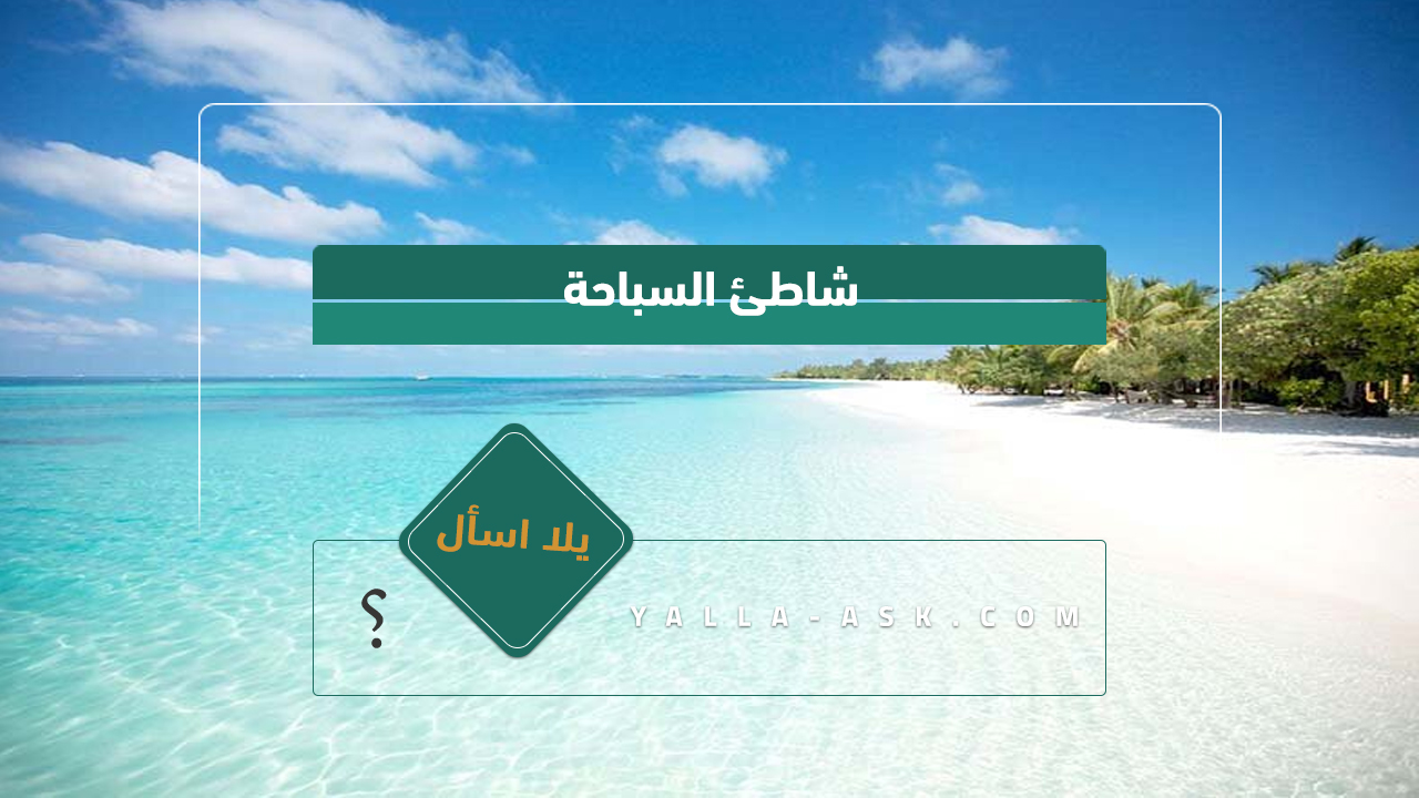 شاطئ السباحة