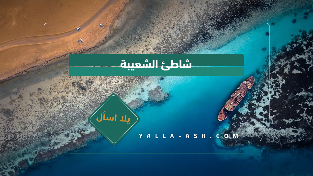 شاطئ الشعيبة