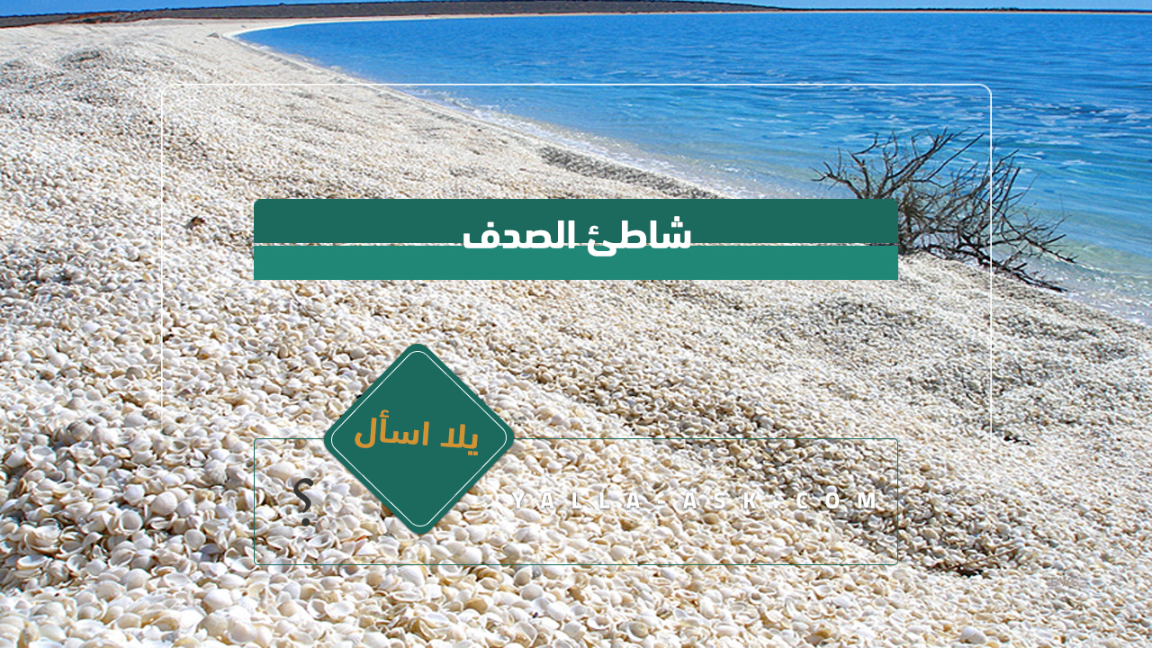 شاطئ الصدف