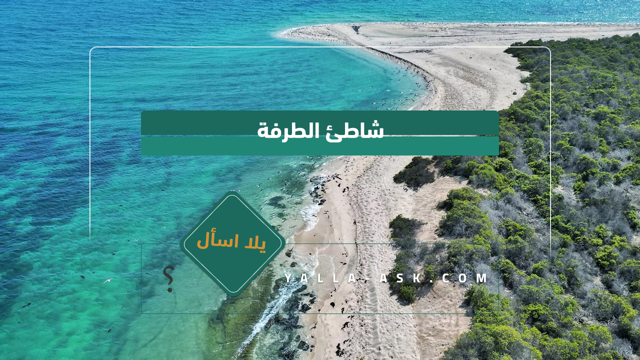 شاطئ الطرفة