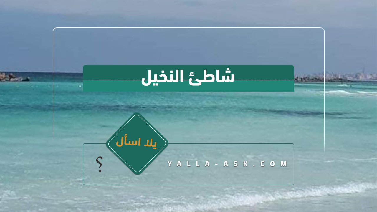 شاطئ النخيل