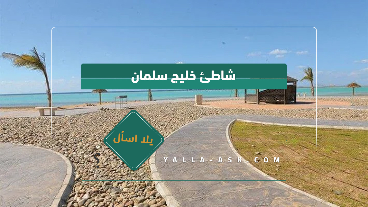 شاطئ خليج سلمان