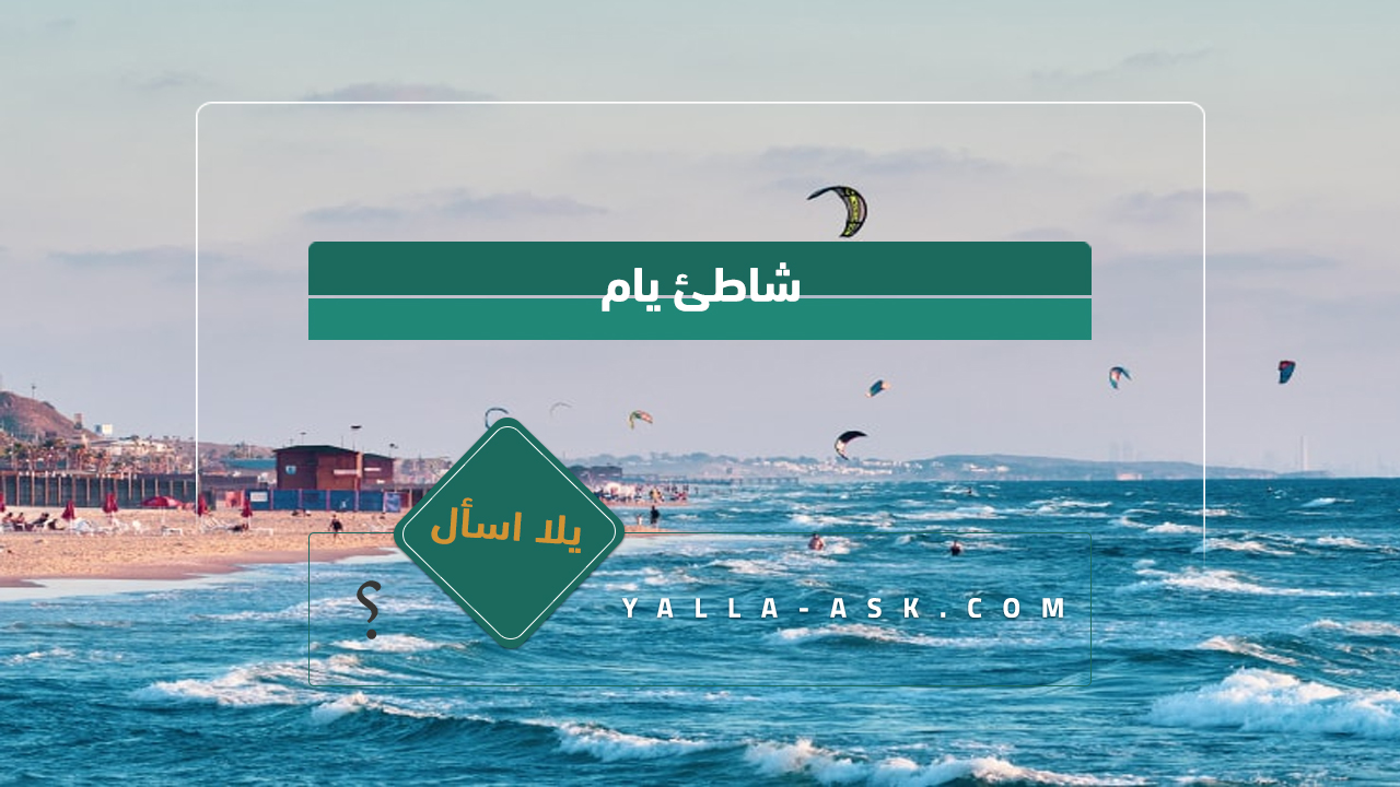 شاطئ يام