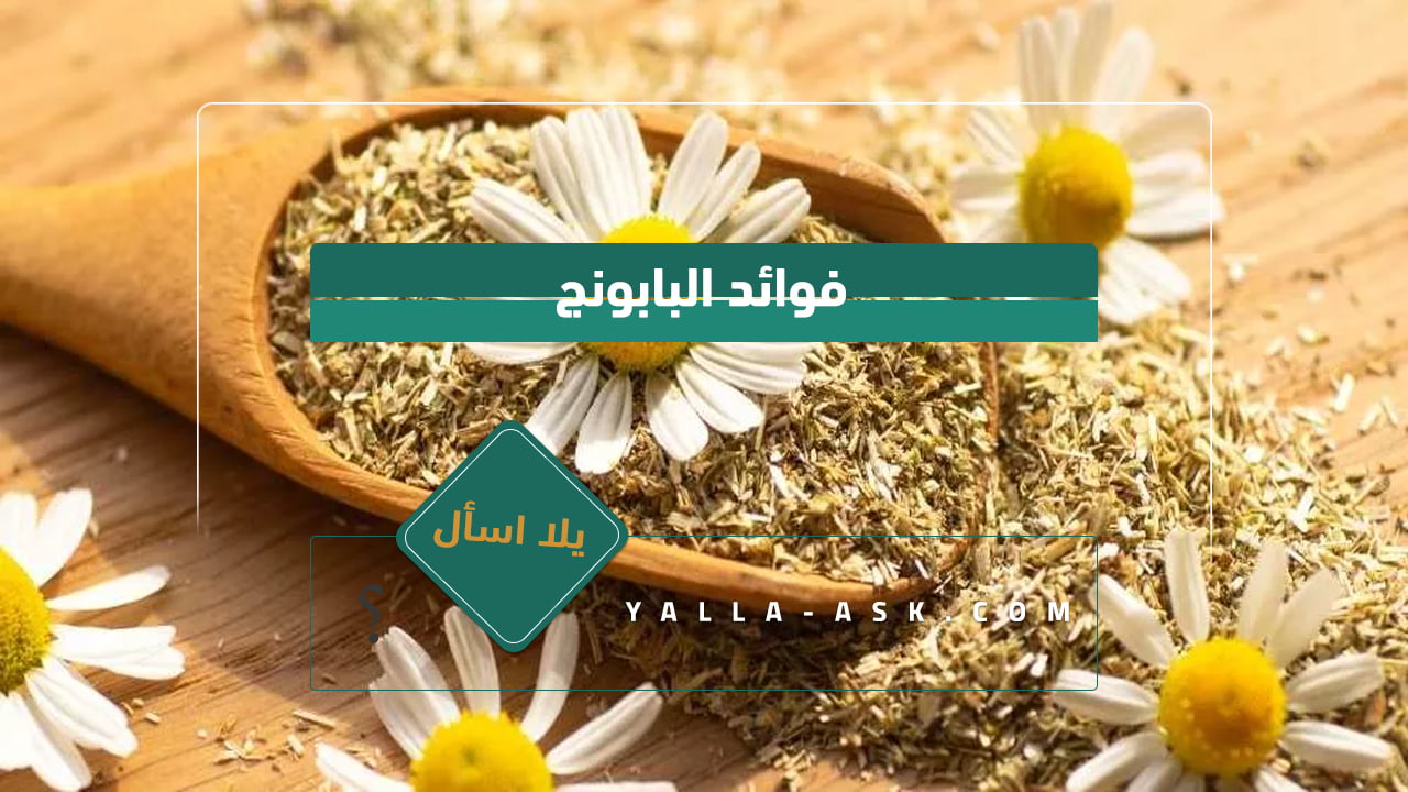 فوائد البابونج