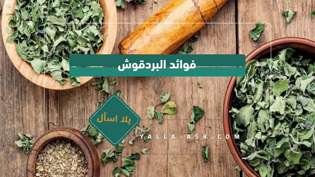 فوائد البردقوش