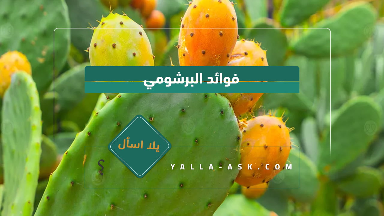 فوائد البرشومي