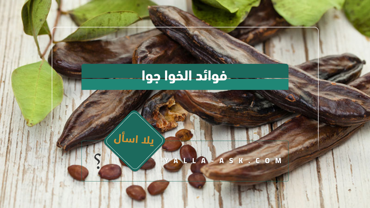 فوائد الخوا جوا