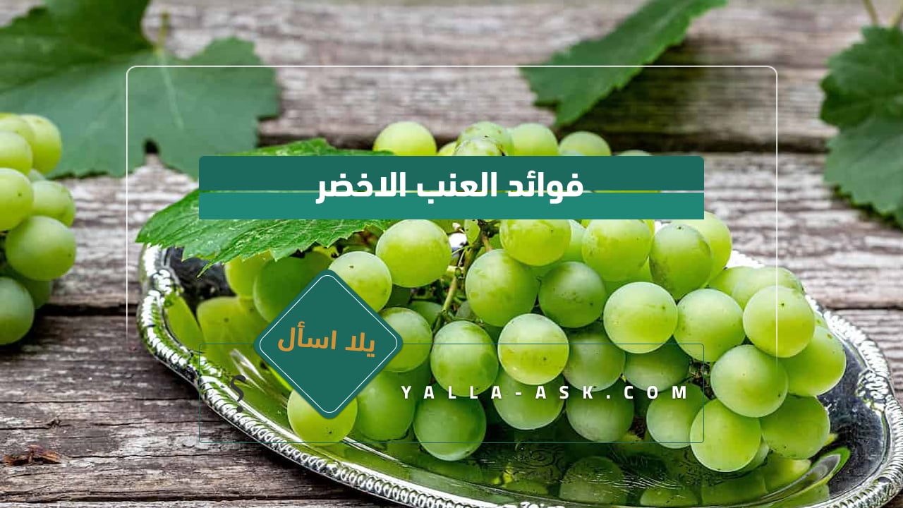 فوائد العنب الاخضر