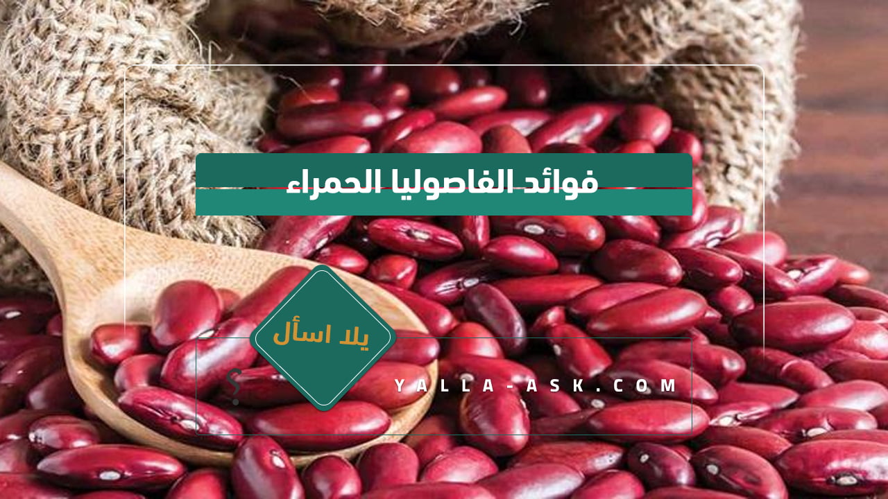 فوائد الفاصوليا الحمراء