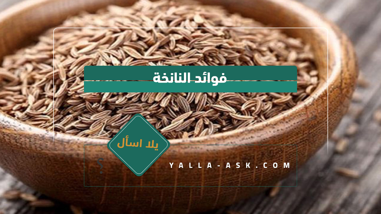 فوائد النانخة