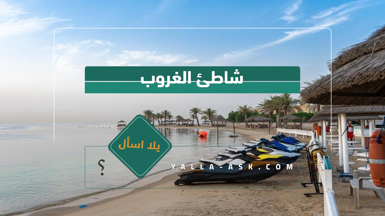 منتجع شاطئ النخيل